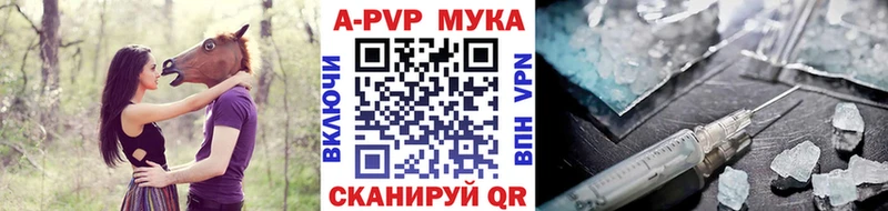 Alfa_PVP СК  Ярославль 