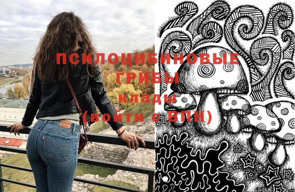 ГАЛЛЮЦИНОГЕННЫЕ ГРИБЫ Богородицк