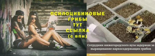 ешки Богданович