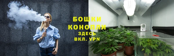 ешки Богданович
